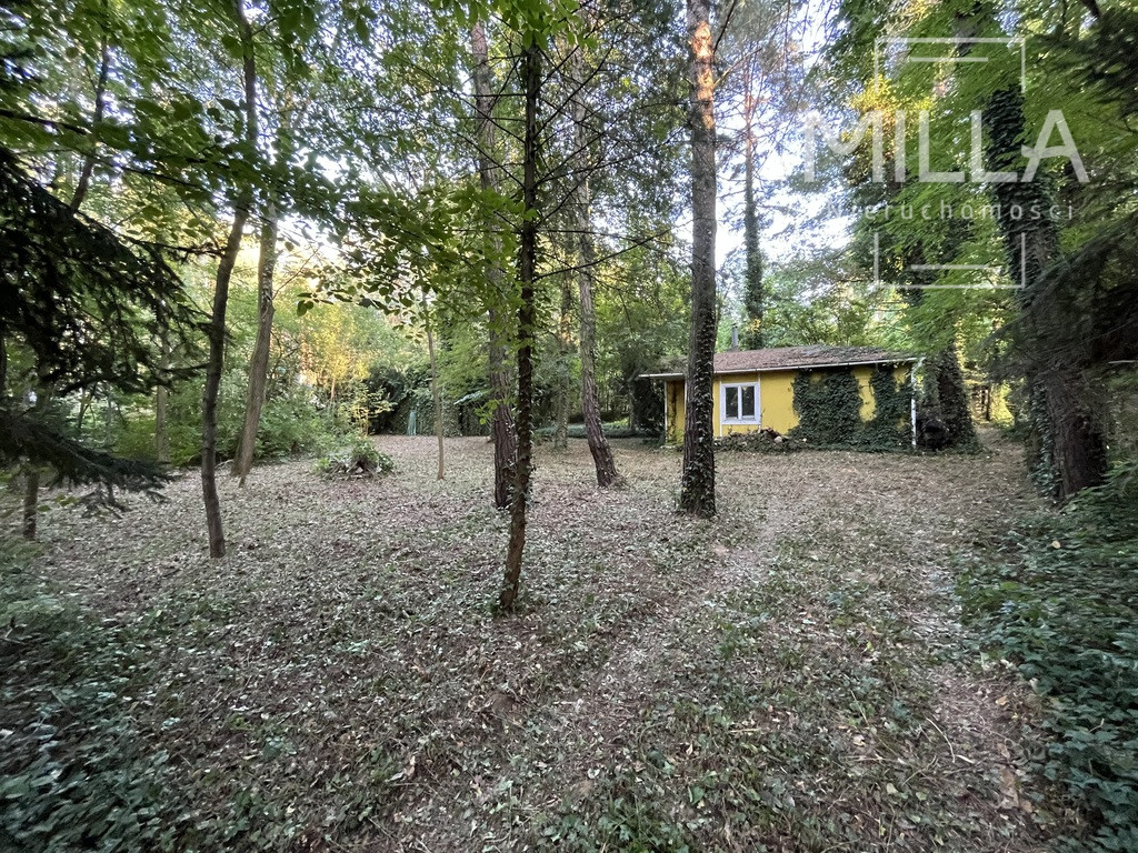 Działka Sprzedaż Sokolniki-Las