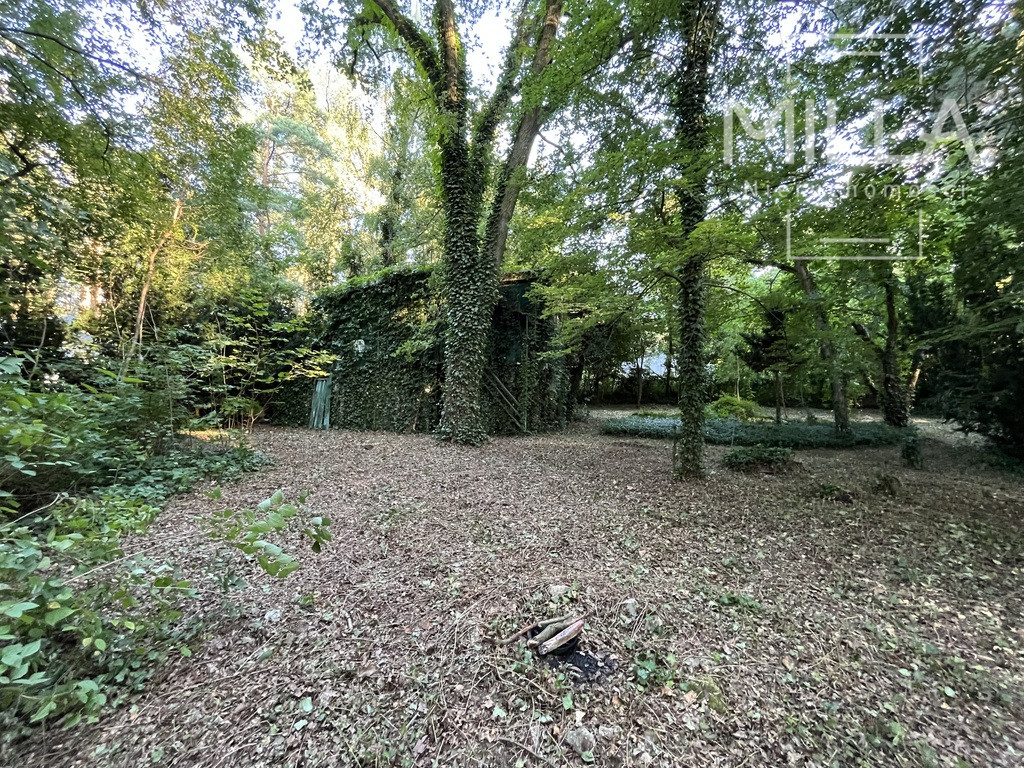 Działka Sprzedaż Sokolniki-Las 7