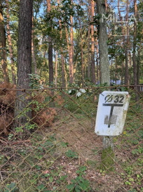 Działka Sprzedaż Sokolniki-Las