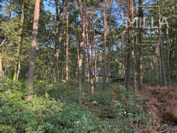 Działka Sprzedaż Sokolniki-Las