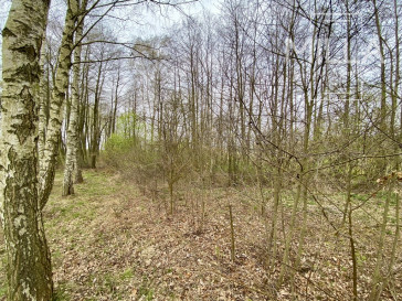 Dom Sprzedaż Ługi