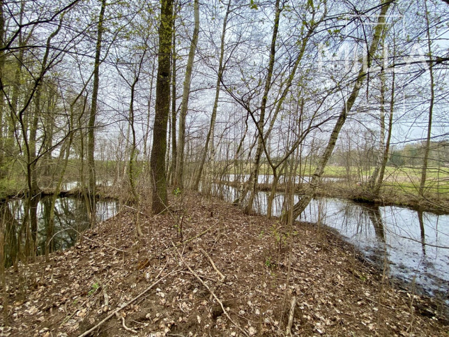 Dom Sprzedaż Ługi 17