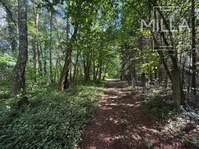 Działka Sprzedaż Sokolniki-Las 2