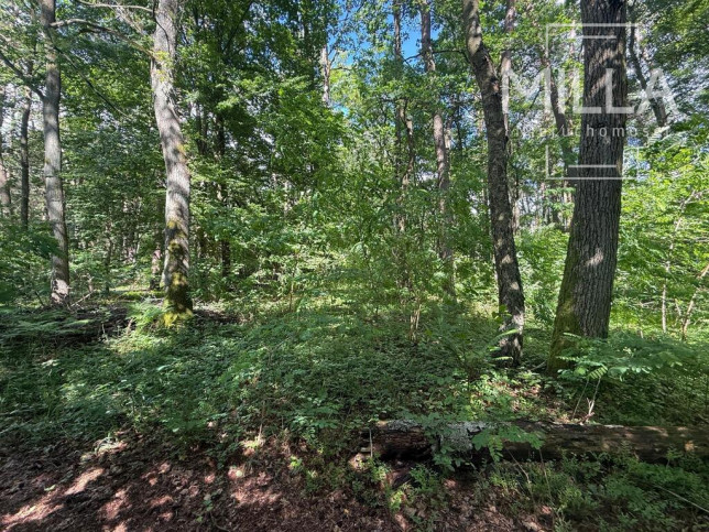 Działka Sprzedaż Sokolniki-Las 3