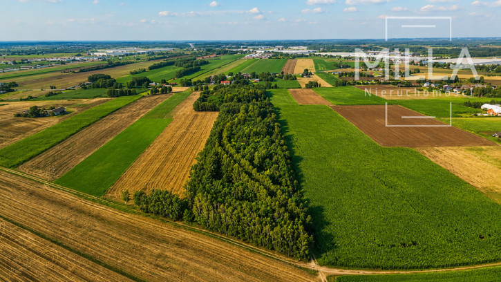 Działka Sprzedaż Zelgoszcz 1