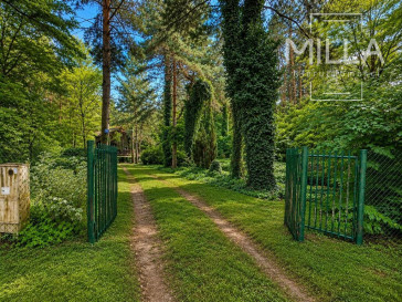Działka Sprzedaż Szczawin Kolonia Głowa