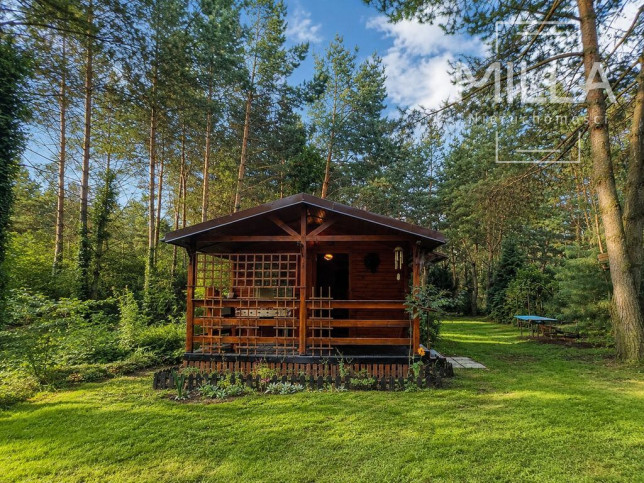 Działka Sprzedaż Szczawin Kolonia Głowa 4